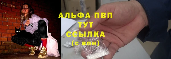 амф Карпинск