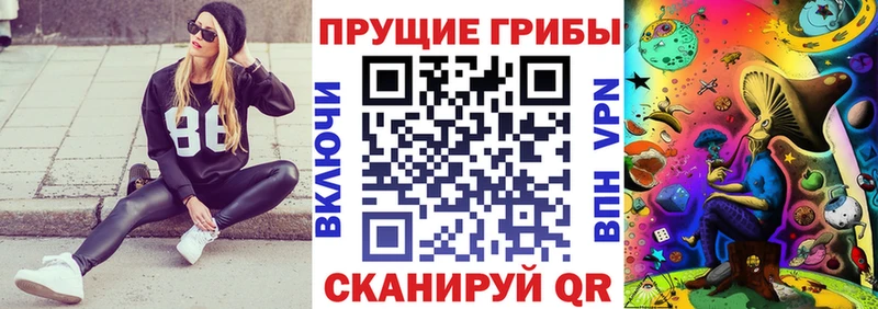 Купить закладки  Симферополь  Псилоцибиновые грибы Psilocybe 